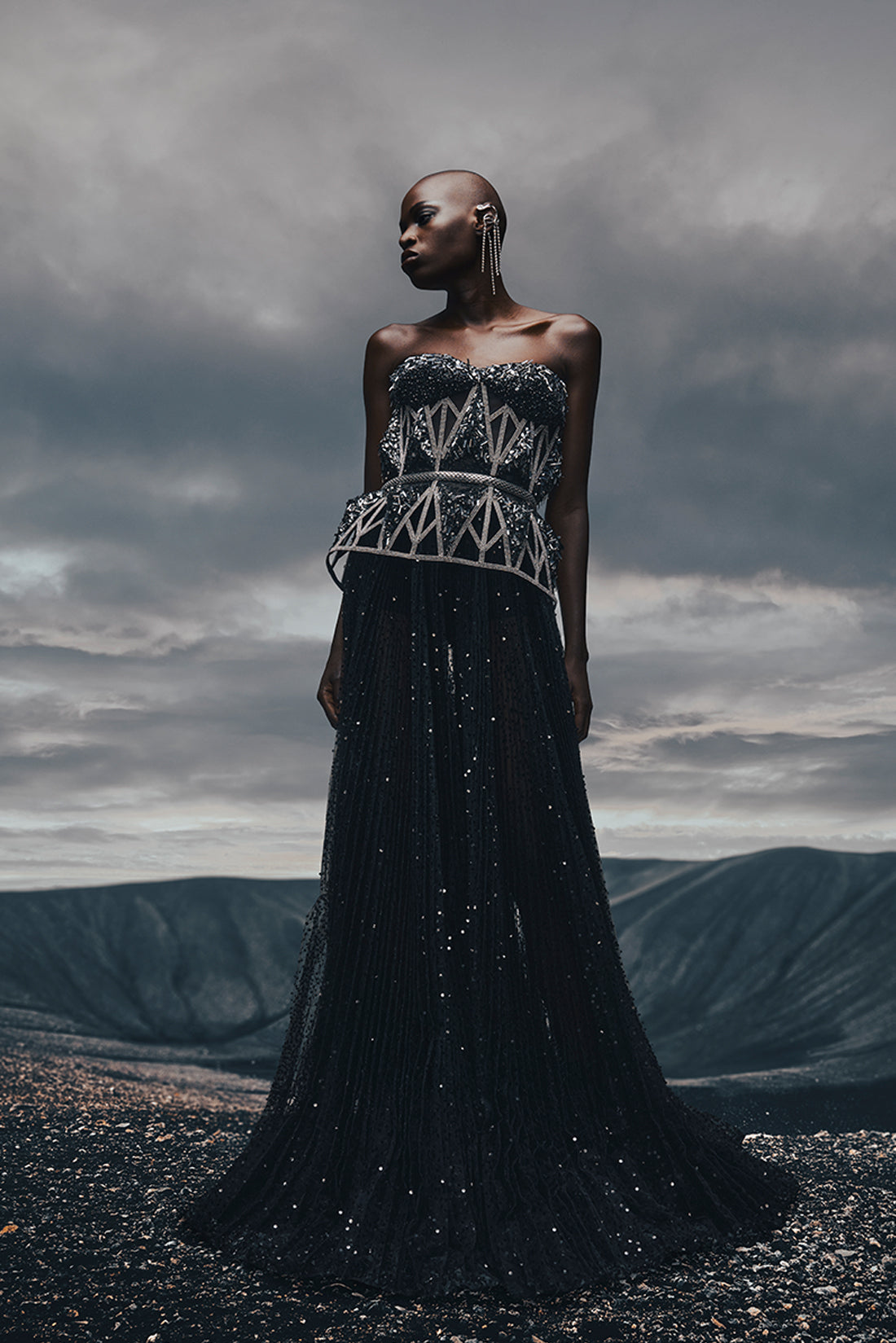 MIDNIGHT EMBELLISHED GOWN